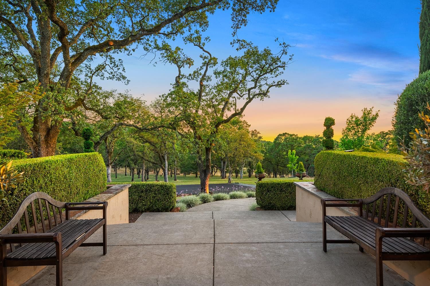 View from the entry courtyard out across the oak savanna at sunset, mature oaks framing the wide pasture beyond the property's hedges